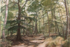 Bosco di Cerri - olio su tela cm. 90x100 (2014)