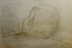 Chiara dorme  disegno su carta  (collezione privata)  (1979)