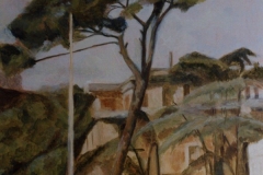 Il pino  olio su tela  cm. 70x50 (collezione privata)  (1998)