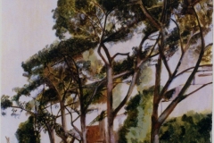 Pini  olio su tela  cm. 70x50  (1998)