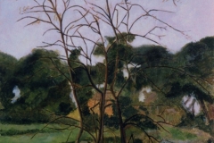 Villa Ada  - olio su tela  cm. 70x50  (1999)