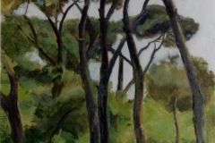 Villa Borghese  - olio su tela  cm.70x50 (collezione privata)  (1999)