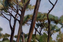 Villa Borghese  - olio su tela cm.70x50  (1999)