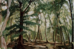 Cerréto  - olio su tela cm.80x100 (collezione privata)  (2003)
