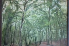 Bosco di faggi  - olio su tela cm 65x80 (2020)