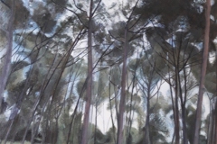 Il Ponentino romano -  olio su tela 80x70 cm  (2021)