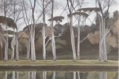 Pioppi a villa Ada - olio su tela 80x45 cm (2021)